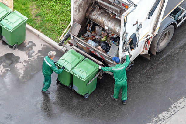 Yard Cleanup Services in Knoxville, TN
